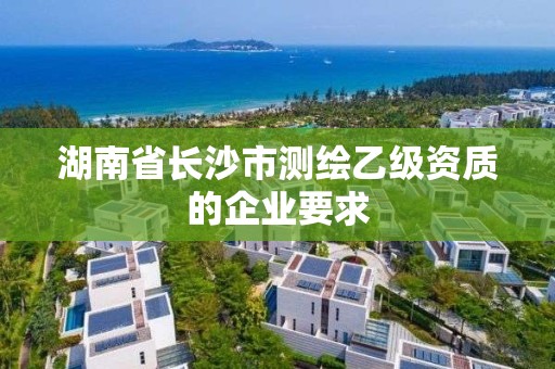 湖南省長沙市測繪乙級資質的企業要求