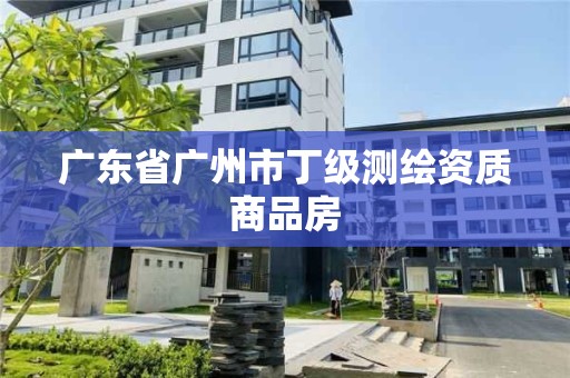 廣東省廣州市丁級測繪資質商品房