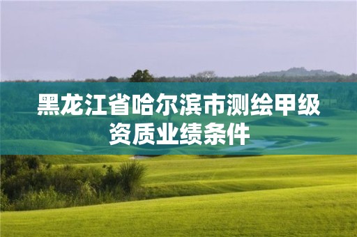 黑龍江省哈爾濱市測繪甲級資質業績條件