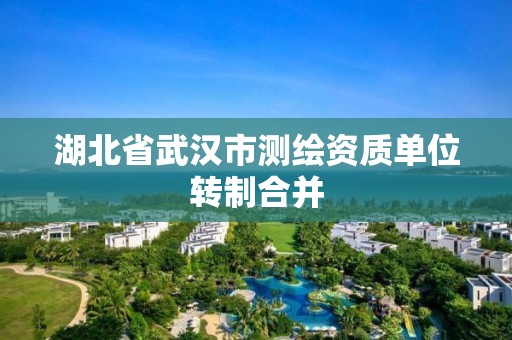 湖北省武漢市測繪資質單位轉制合并