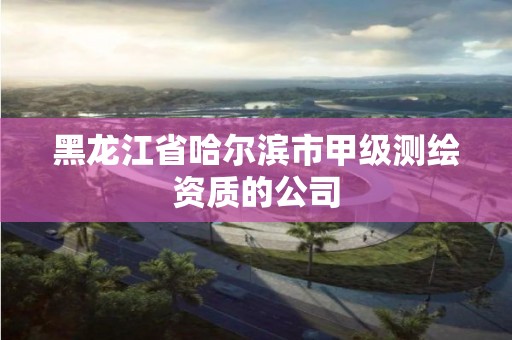 黑龍江省哈爾濱市甲級測繪資質的公司