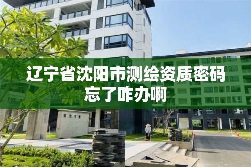 遼寧省沈陽市測繪資質密碼忘了咋辦啊