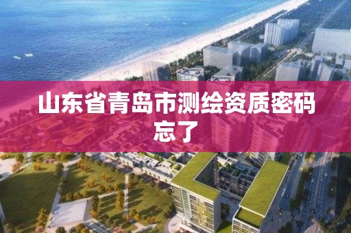 山東省青島市測繪資質密碼忘了