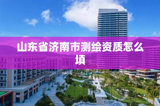 山東省濟南市測繪資質怎么填