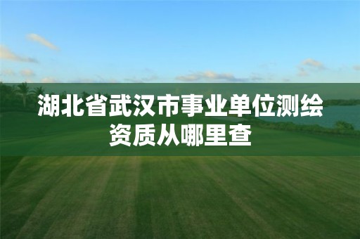 湖北省武漢市事業單位測繪資質從哪里查