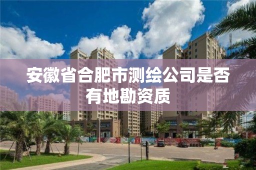 安徽省合肥市測繪公司是否有地勘資質