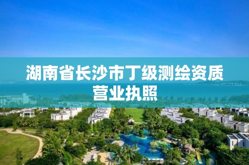 湖南省長沙市丁級測繪資質(zhì)營業(yè)執(zhí)照