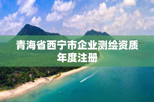 青海省西寧市企業測繪資質年度注冊