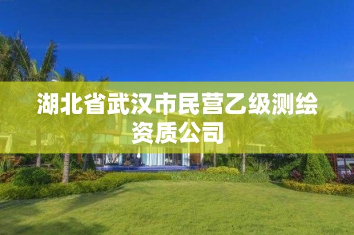 湖北省武漢市民營乙級測繪資質公司