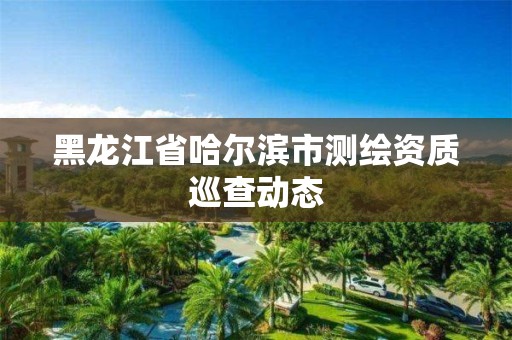 黑龍江省哈爾濱市測繪資質巡查動態