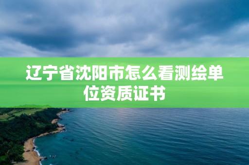 遼寧省沈陽市怎么看測繪單位資質證書