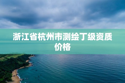 浙江省杭州市測繪丁級資質價格