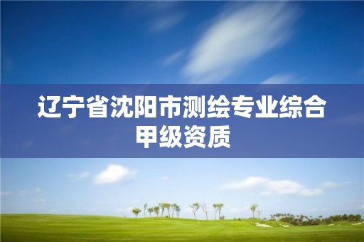 遼寧省沈陽市測繪專業綜合甲級資質