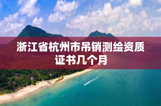 浙江省杭州市吊銷測繪資質證書幾個月