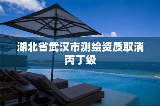 湖北省武漢市測(cè)繪資質(zhì)取消丙丁級(jí)