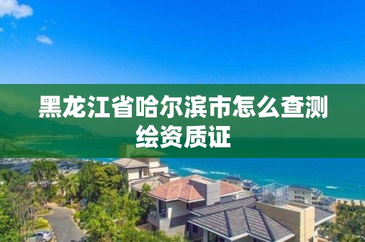 黑龍江省哈爾濱市怎么查測繪資質證