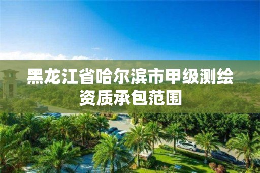 黑龍江省哈爾濱市甲級測繪資質承包范圍