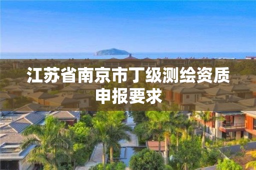 江蘇省南京市丁級測繪資質申報要求