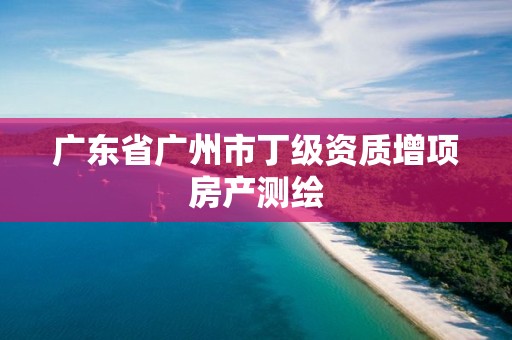 廣東省廣州市丁級資質增項房產測繪