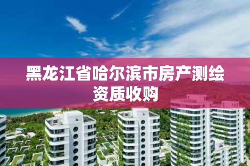 黑龍江省哈爾濱市房產測繪資質收購