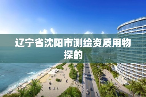 遼寧省沈陽市測繪資質用物探的