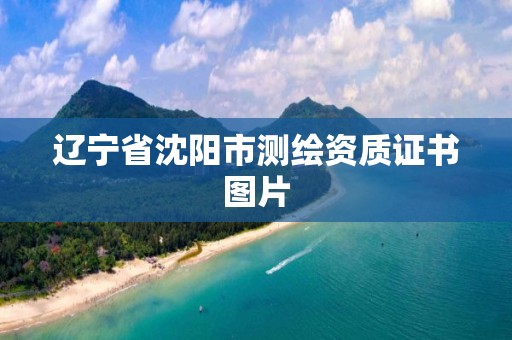 遼寧省沈陽市測繪資質證書圖片