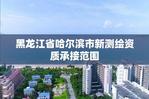 黑龍江省哈爾濱市新測繪資質承接范圍