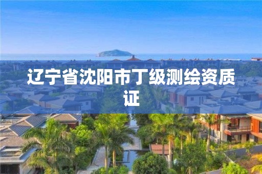 遼寧省沈陽市丁級測繪資質證