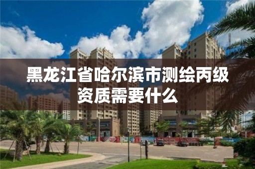 黑龍江省哈爾濱市測繪丙級資質需要什么