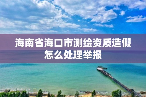 海南省海口市測繪資質造假怎么處理舉報