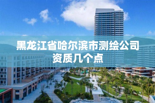 黑龍江省哈爾濱市測繪公司資質幾個點