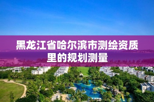 黑龍江省哈爾濱市測(cè)繪資質(zhì)里的規(guī)劃測(cè)量