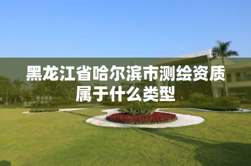 黑龍江省哈爾濱市測繪資質屬于什么類型