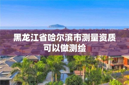 黑龍江省哈爾濱市測(cè)量資質(zhì)可以做測(cè)繪