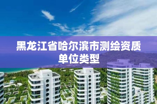 黑龍江省哈爾濱市測繪資質單位類型