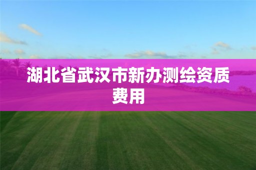 湖北省武漢市新辦測繪資質費用