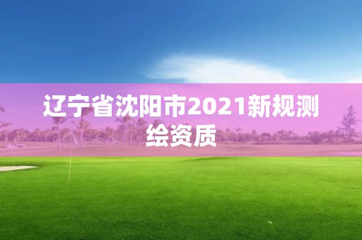 遼寧省沈陽(yáng)市2021新規(guī)測(cè)繪資質(zhì)