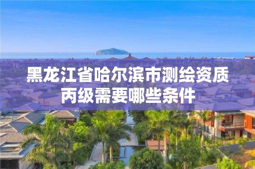 黑龍江省哈爾濱市測繪資質丙級需要哪些條件