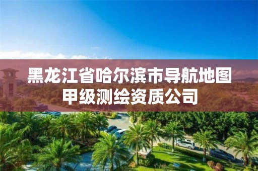 黑龍江省哈爾濱市導(dǎo)航地圖甲級(jí)測(cè)繪資質(zhì)公司