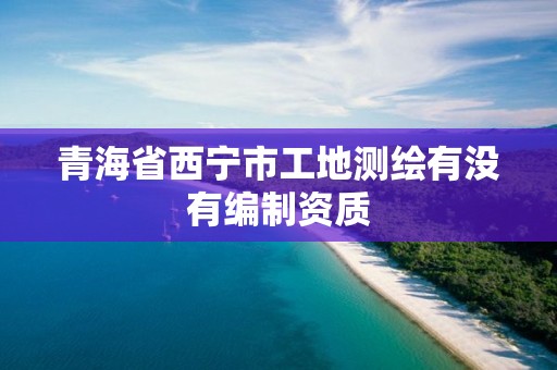 青海省西寧市工地測繪有沒有編制資質