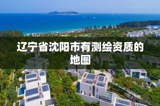 遼寧省沈陽市有測繪資質的地圖