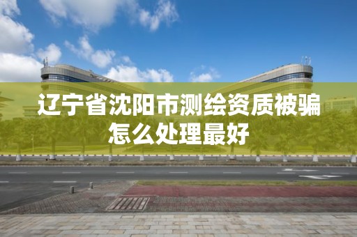 遼寧省沈陽市測繪資質被騙怎么處理最好