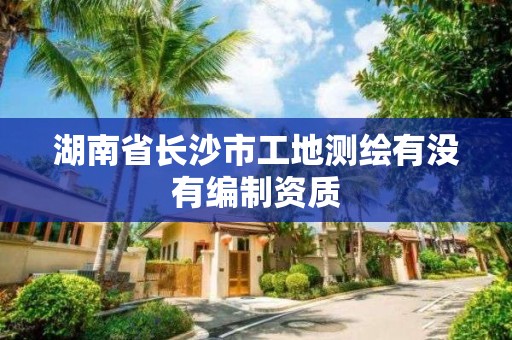 湖南省長沙市工地測繪有沒有編制資質