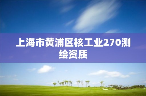 上海市黃浦區(qū)核工業(yè)270測(cè)繪資質(zhì)