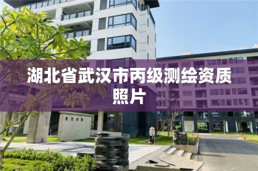 湖北省武漢市丙級測繪資質照片