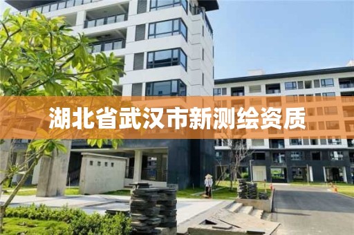 湖北省武漢市新測繪資質