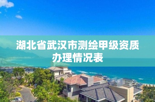 湖北省武漢市測(cè)繪甲級(jí)資質(zhì)辦理情況表