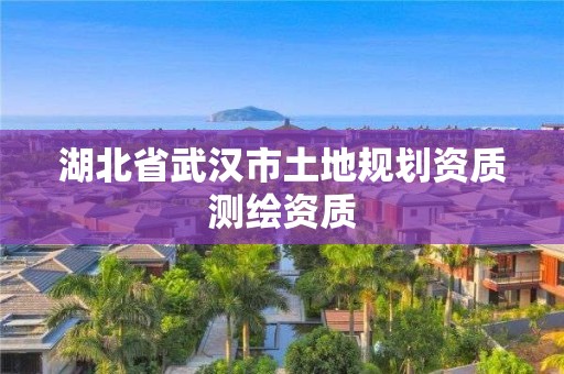 湖北省武漢市土地規劃資質測繪資質