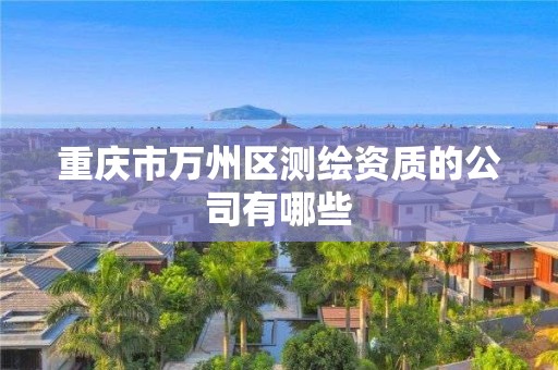 重慶市萬州區(qū)測繪資質(zhì)的公司有哪些