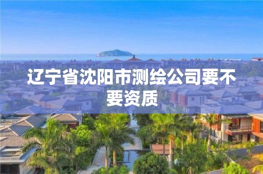 遼寧省沈陽市測繪公司要不要資質